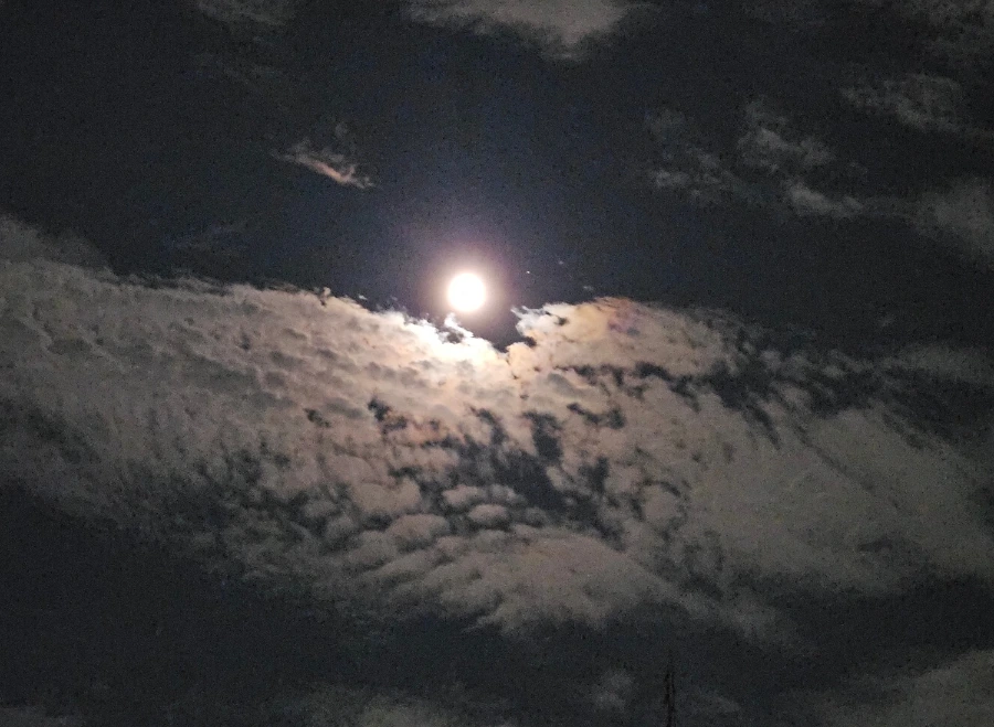 SE-0c3a1e74-750b-11ef-a5e6-b541721e21ec.jpg?type=w1