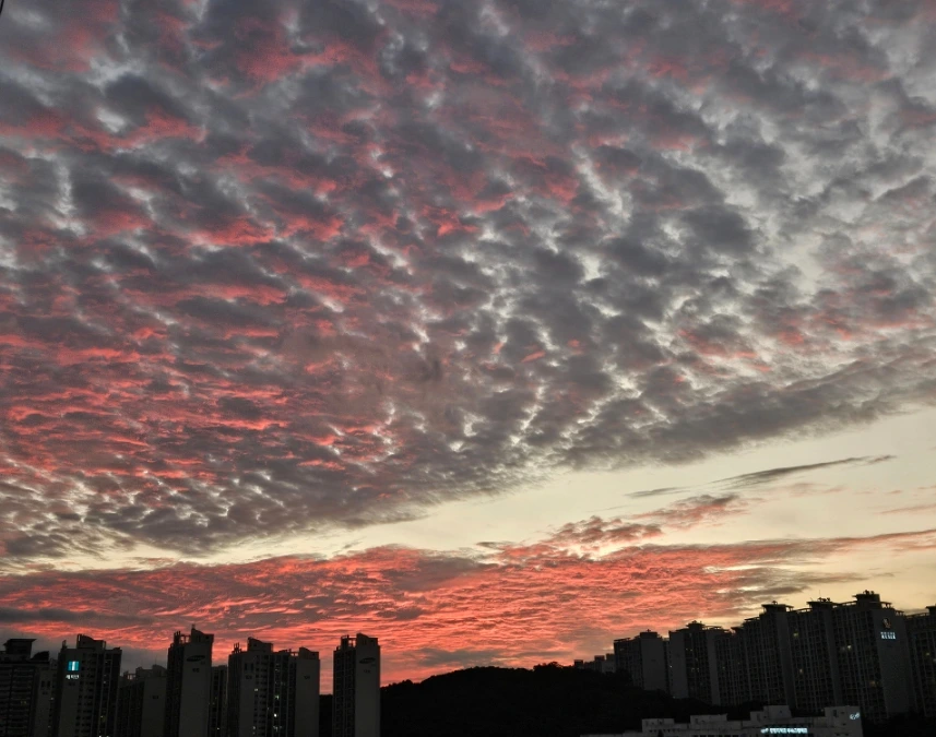 SE-0c351561-750b-11ef-a5e6-25a4888da698.jpg?type=w1