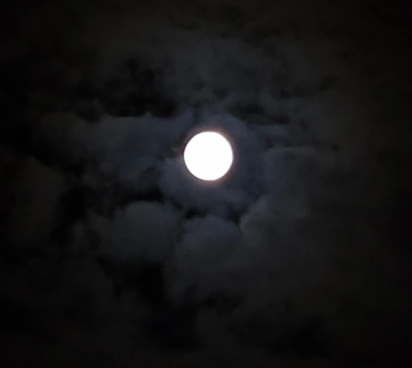 SE-0c4e42bd-750b-11ef-a5e6-df04a0cebe3b.jpg?type=w1