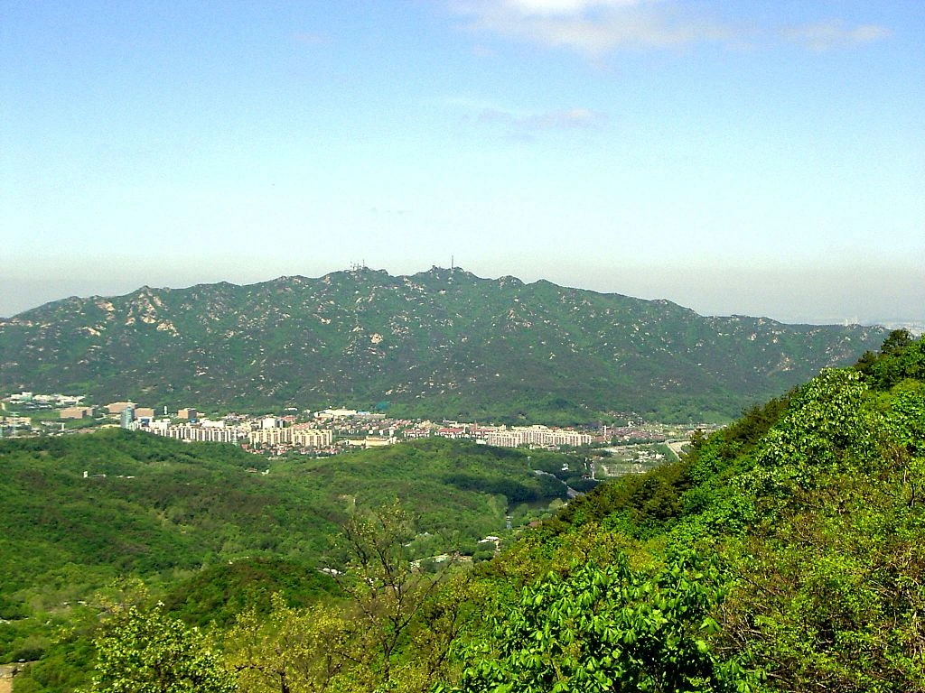 65c9b347e8a9d.jpg?imgSeq=13867