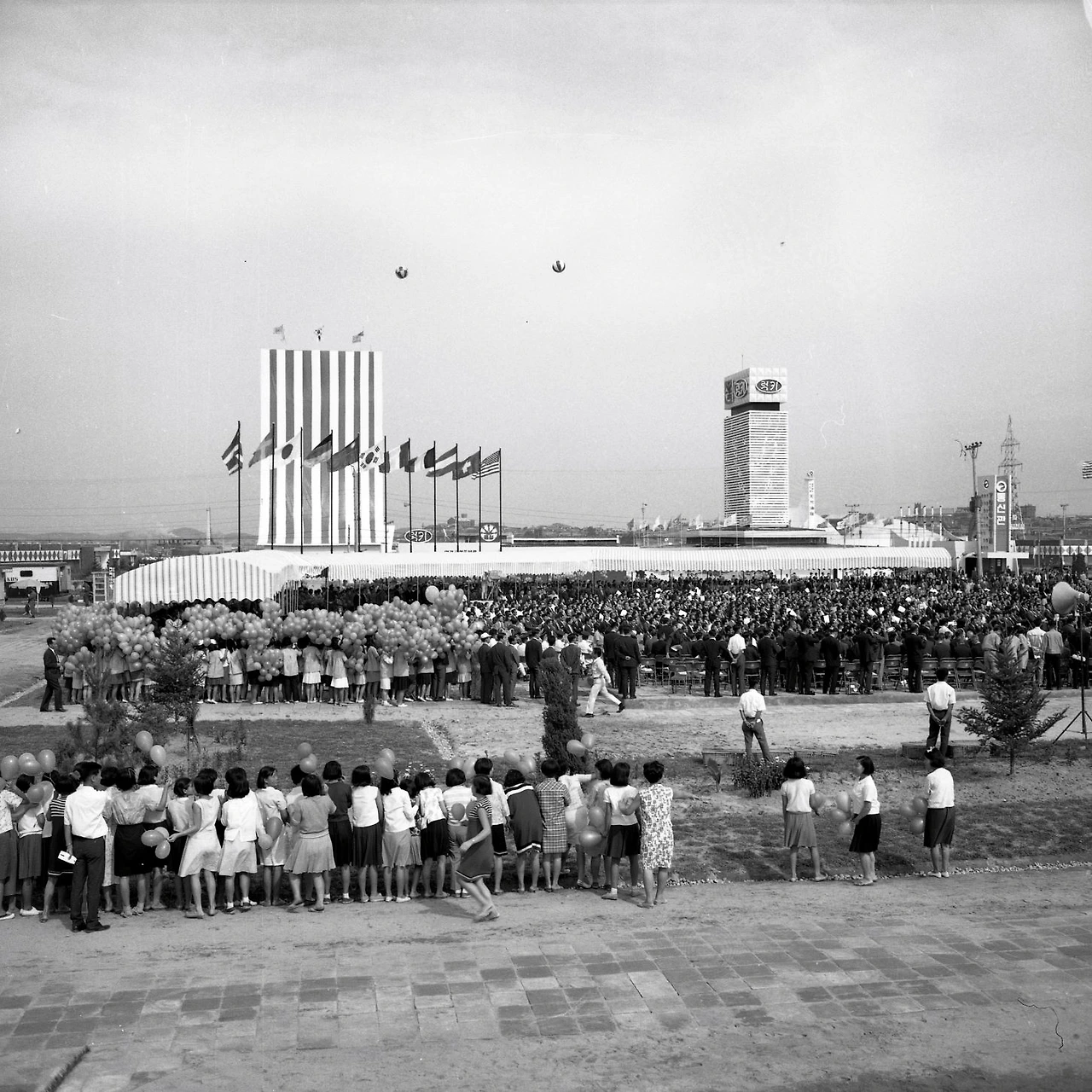 65cbe407c5bfd.jpg?imgSeq=14156