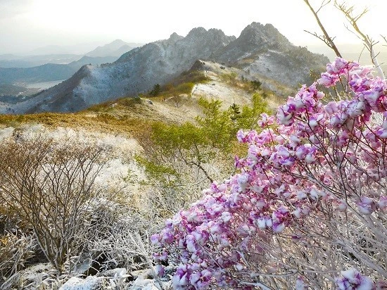 다운로드 (14).jfif