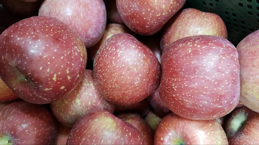 다운로드 (4).jfif