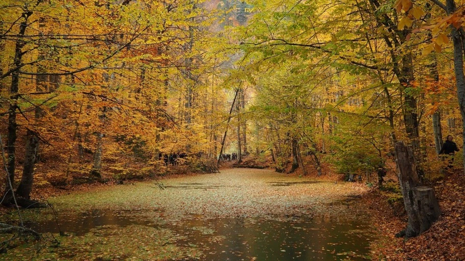 다운로드 (9).jfif