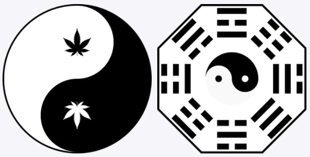 다운로드 (8).jfif