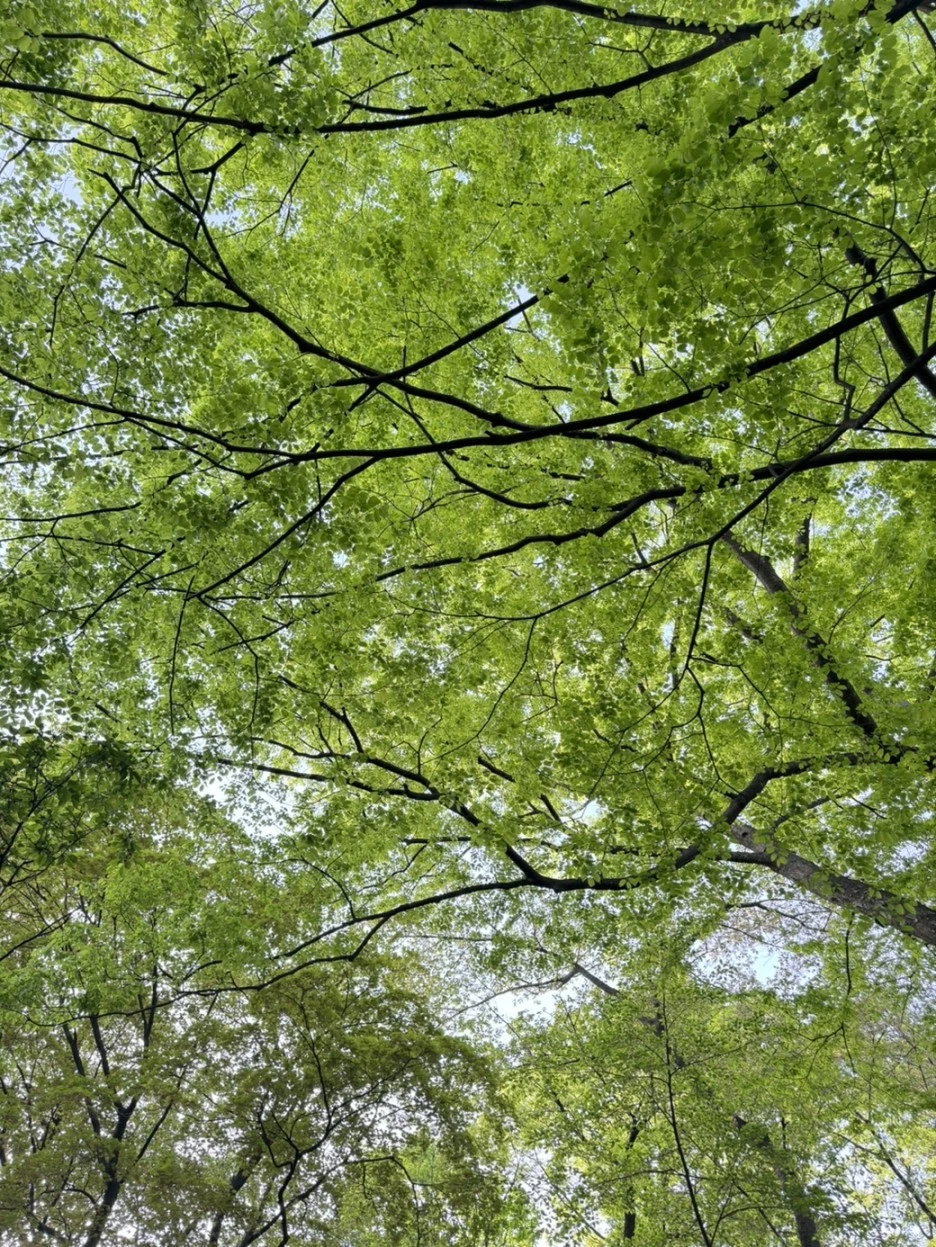 KakaoTalk_20240418_074931060.jpg?type=w1