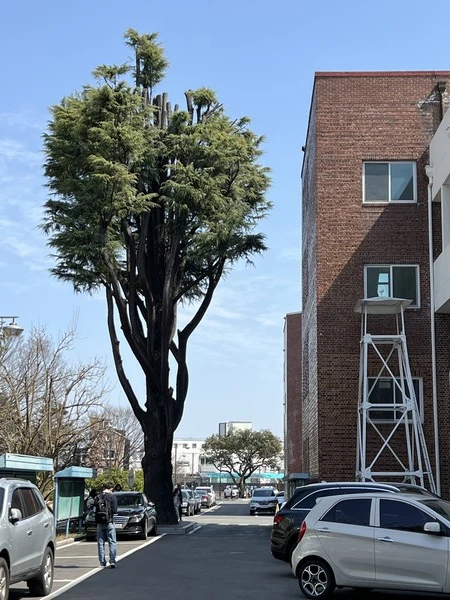 964_1128_4328.jpeg?type=w580