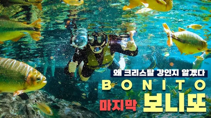 hq720.jpg?sqp=-oaymwEhCK4FEIIDSFryq4qpAxMIARUAAAAAGAElAADIQj0AgKJD&rs=AOn4CLBB0ct-v1sSy5qIGCAWZRzJ_AJn8w