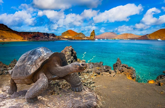 shutterstock_2157700879.jpg?fm=jpg&fl=progressive&w=660&h=433&fit=fill