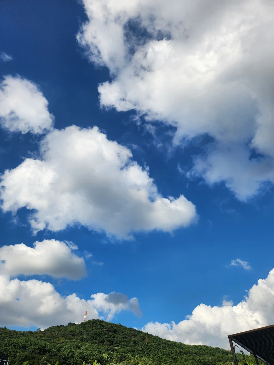 20240731%EF%BC%BF174442.jpg?type=w1