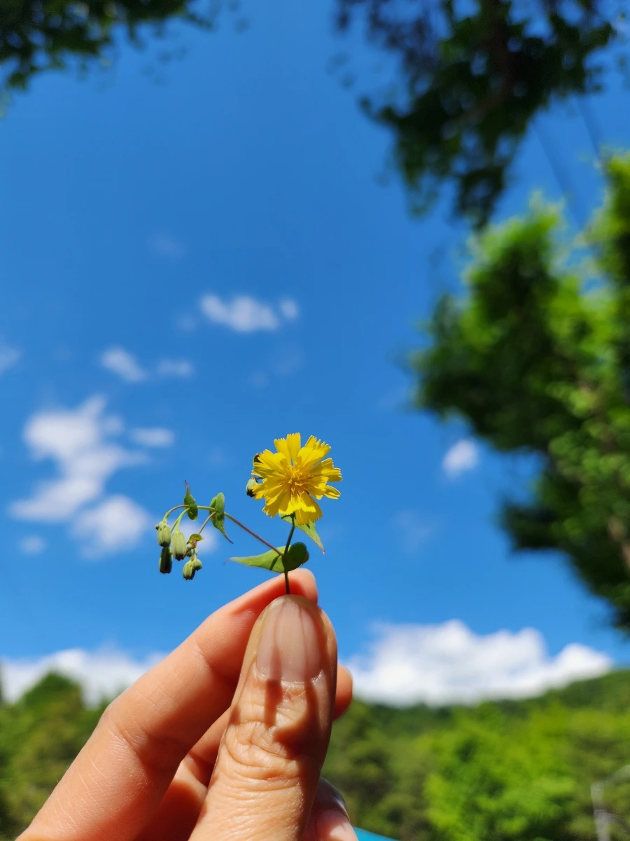 20240528%EF%BC%BF152706.jpg?type=w1