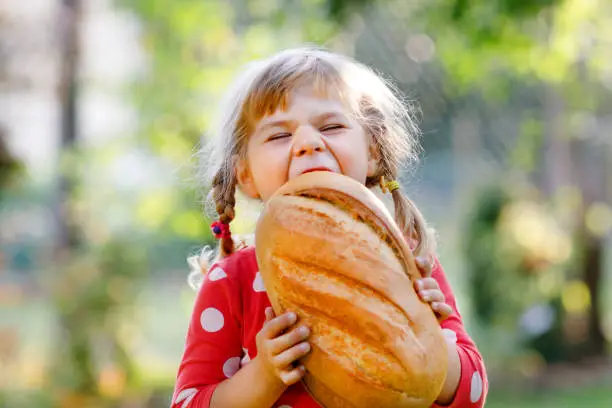 little-toddler-girl-holding-big-loaf-of-bread-funny-happy-child-biting-and-eating-healthy-bread.jpg?s=612x612&w=0&k=20&c=lK3m9YiYryfeil_dsS3l6nMqiIzxLldT5ZyQZcgtwuc=
