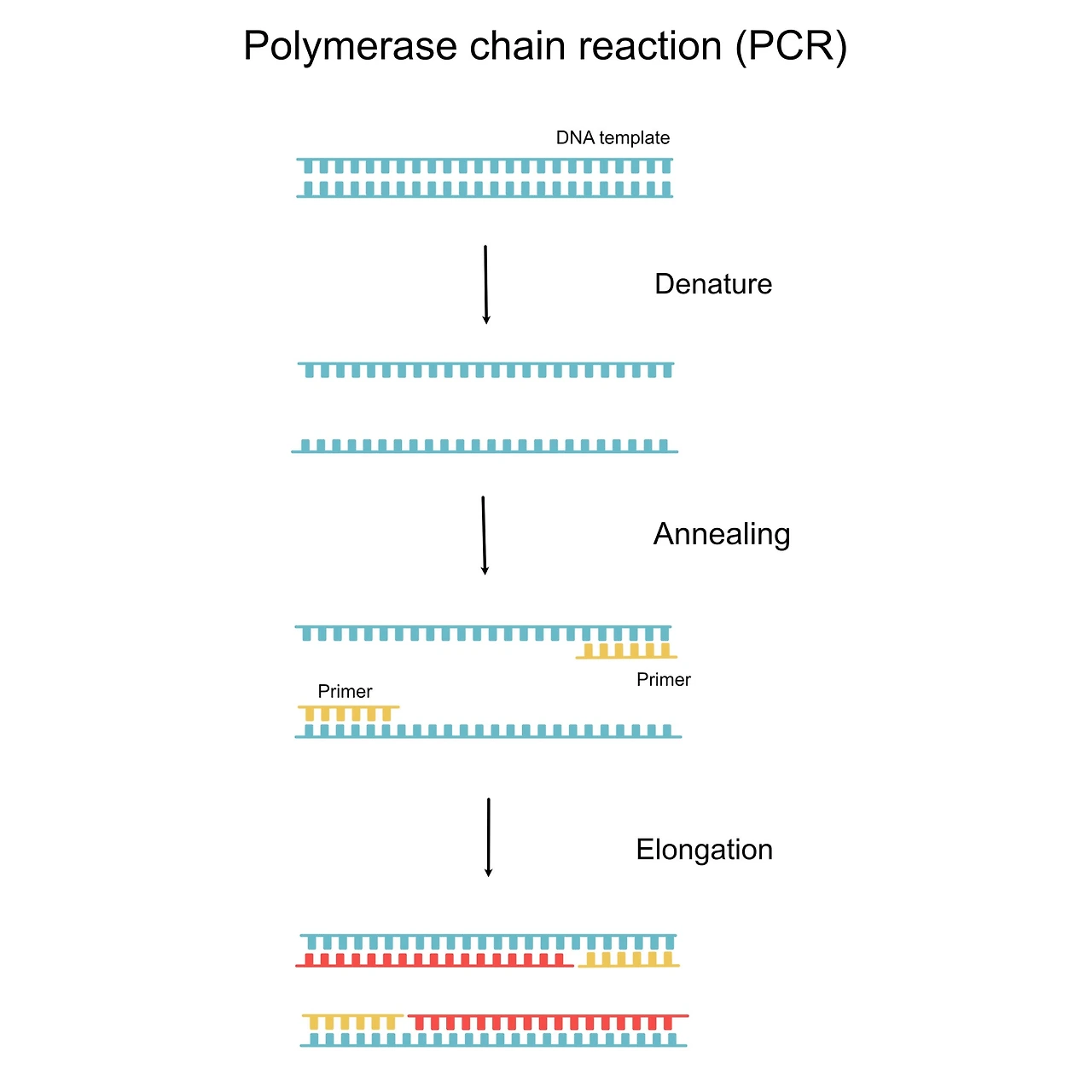 licensed-image?q=tbn:ANd9GcT1-3YUyTA0kroJYmf7-SP4WgrP1h8gEF5YkRACIMt7KNiDmYVN4ZyixYAXum5gpBVXstbcp21NQI3xOFfyIxhhmxUlsf8vf0OVdryImjEp4NLRYfE