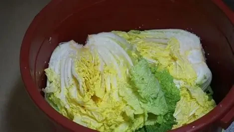 OIP._sW6wyo1ImKiiTafVb76bgHaEK?w=318&h=180&c=7&r=0&o=7&cb=12&dpr=2&pid=1.7&rm=3