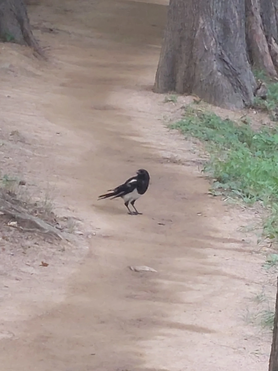 900%EF%BC%BF20250706%EF%BC%BF184258.jpg?type=w966