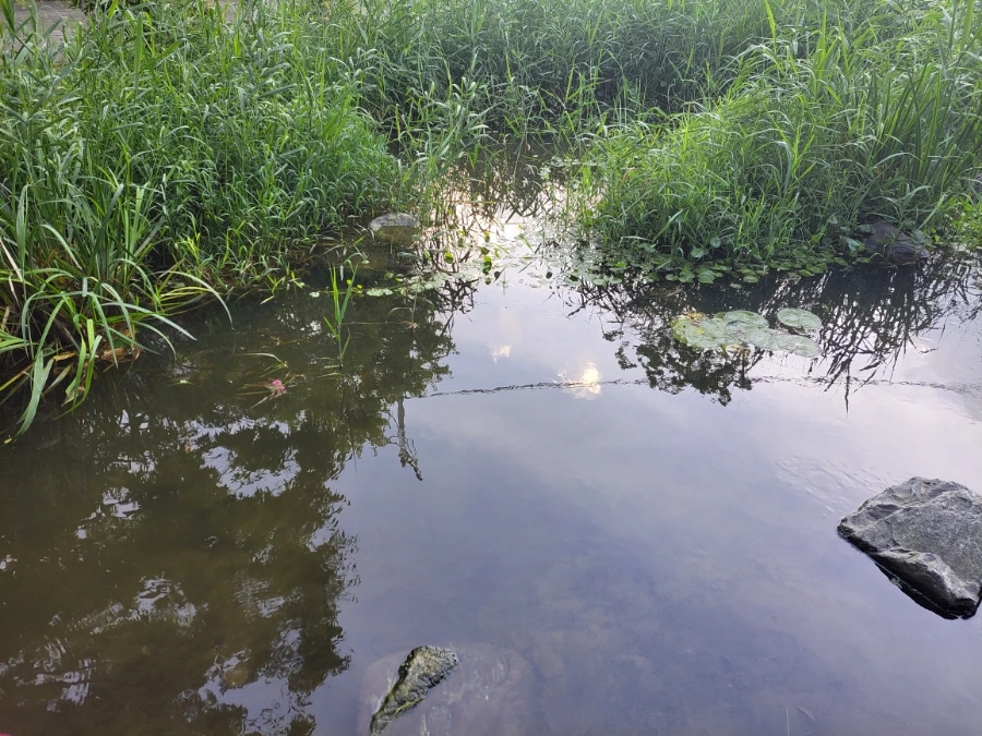 900%EF%BC%BF20250820%EF%BC%BF065029.jpg?type=w966