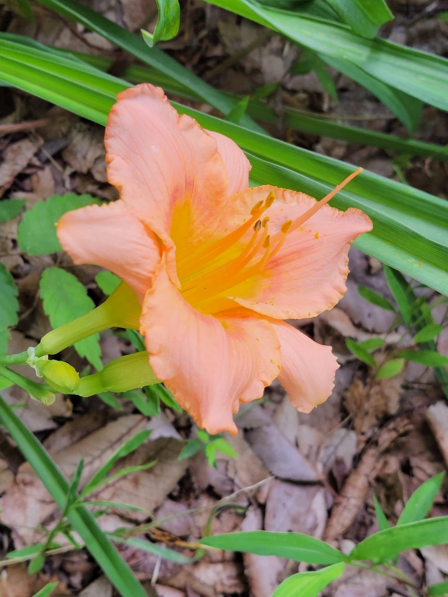 900%EF%BC%BF20250701%EF%BC%BF143535.jpg?type=w966