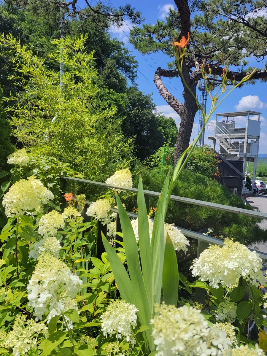 900%EF%BC%BF20250727%EF%BC%BF131323.jpg?type=w966