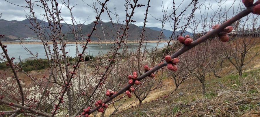 900%EF%BC%BF20250315%EF%BC%BF154706.jpg?type=w966