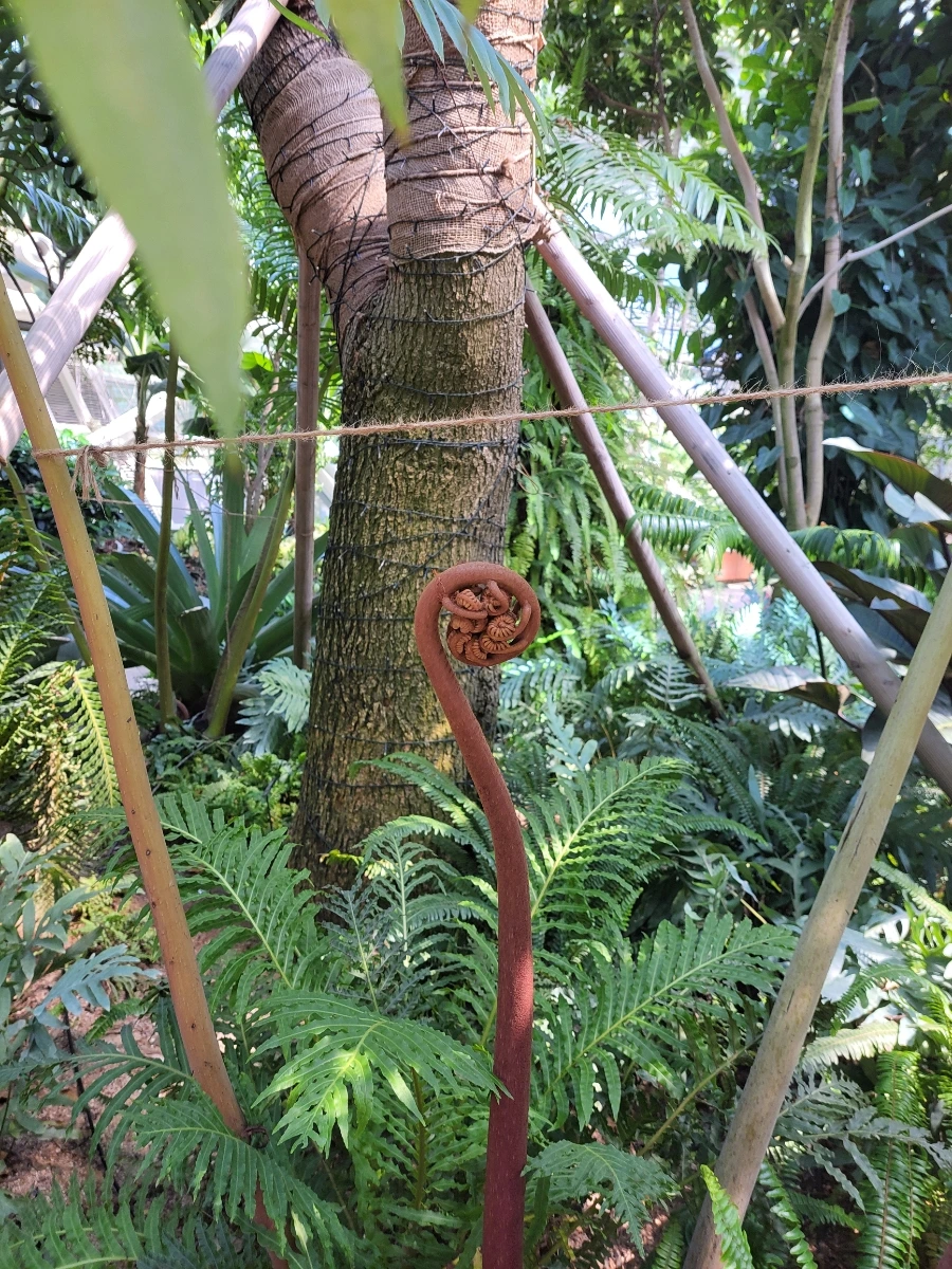 900%EF%BC%BF20250712%EF%BC%BF145622.jpg?type=w966