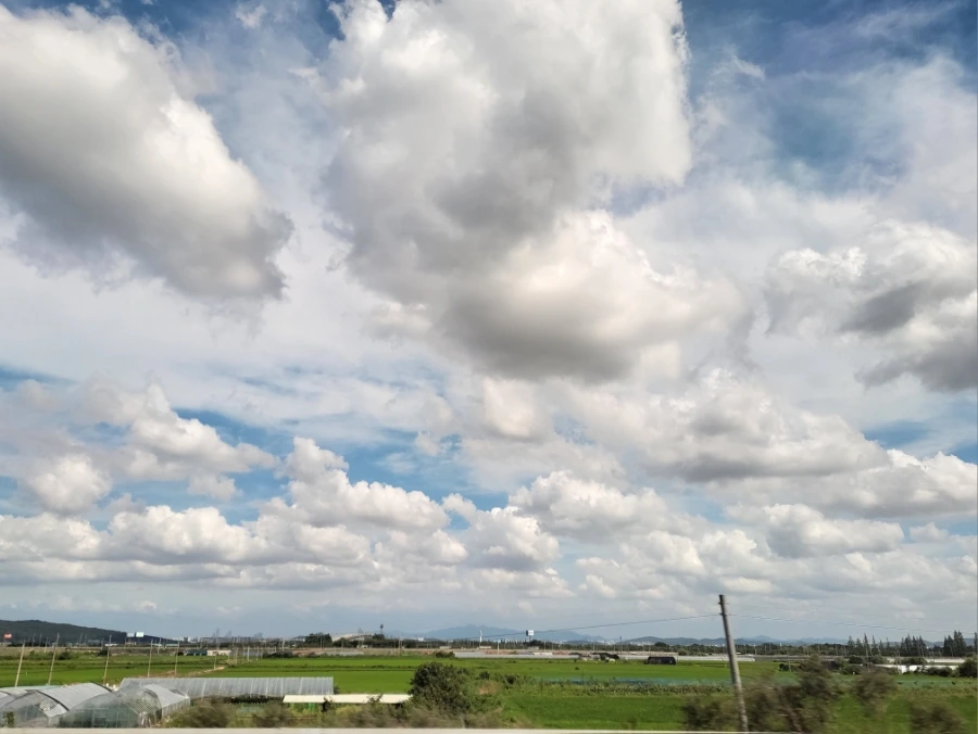 900%EF%BC%BF20250720%EF%BC%BF152824.jpg?type=w966