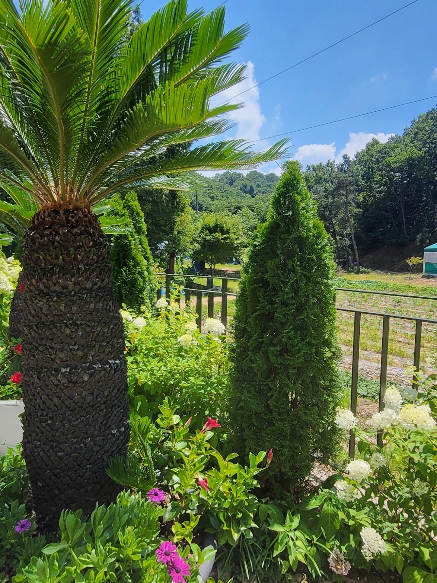 900%EF%BC%BF20250727%EF%BC%BF131417.jpg?type=w966