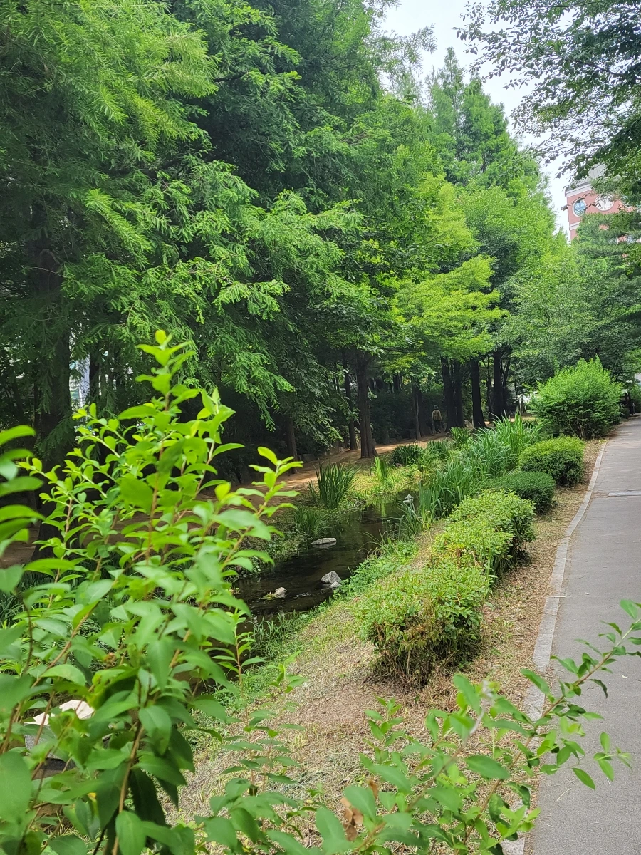 900%EF%BC%BF20250613%EF%BC%BF102801.jpg?type=w966