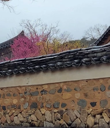 1742079274887.jpg?type=w966