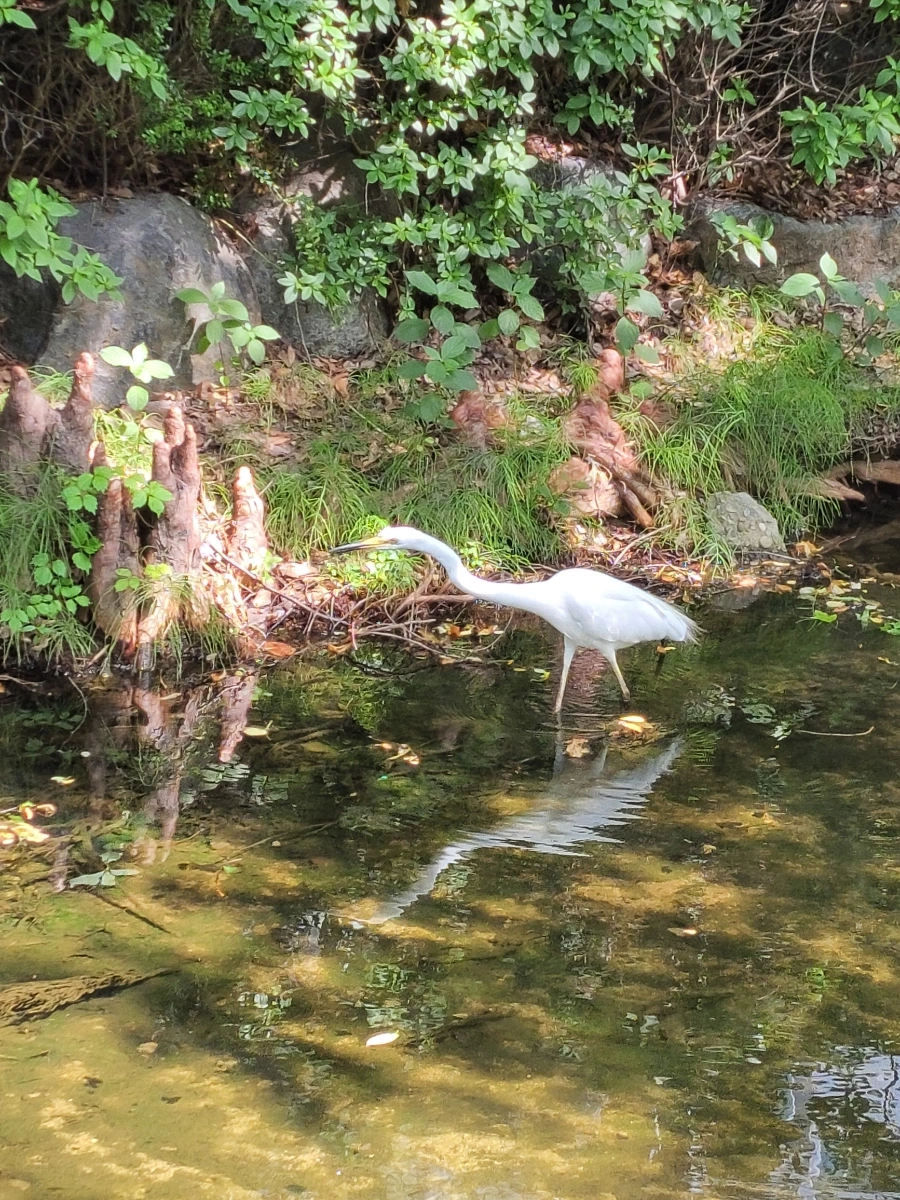 900%EF%BC%BF20250603%EF%BC%BF145025.jpg?type=w966