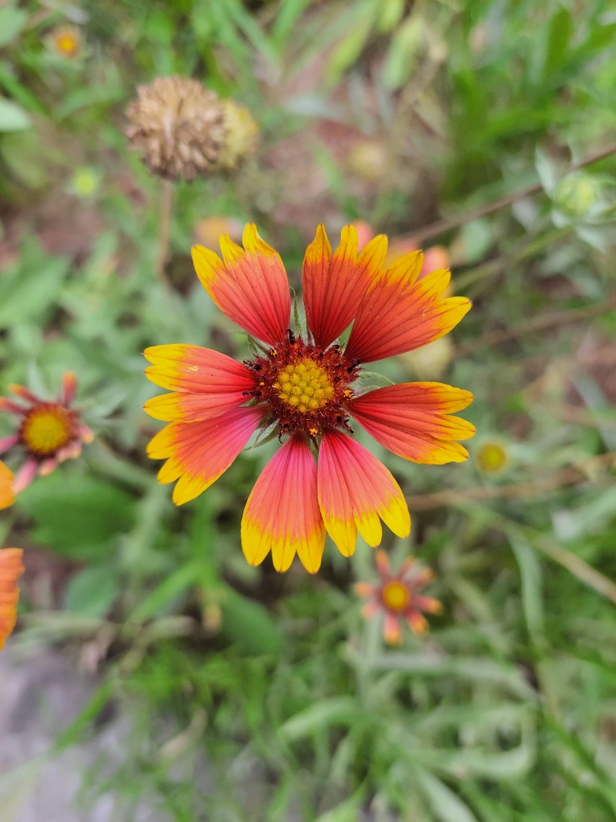 900%EF%BC%BF20250713%EF%BC%BF105222.jpg?type=w966