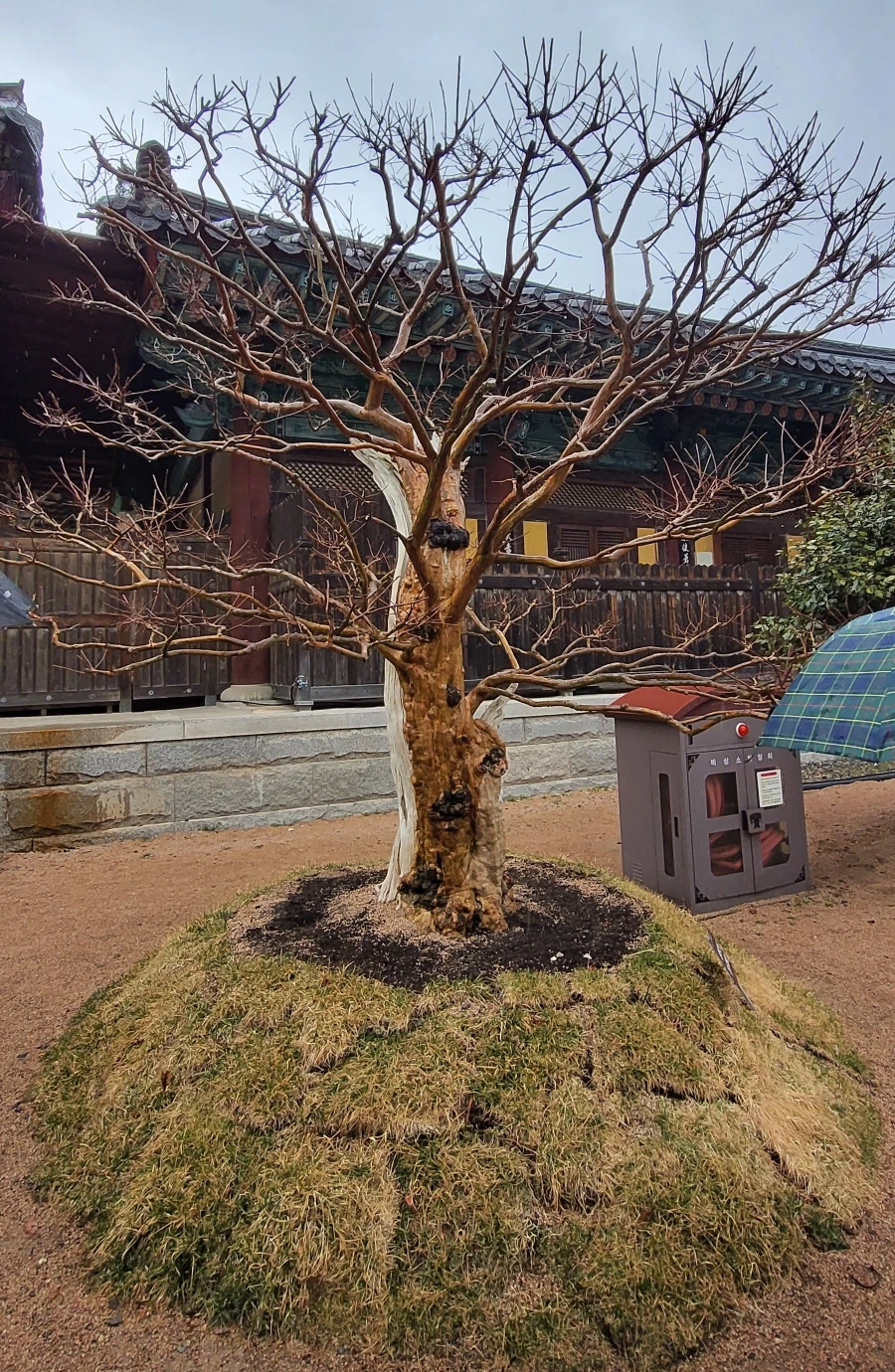 900%EF%BC%BF1742079497334.jpg?type=w966