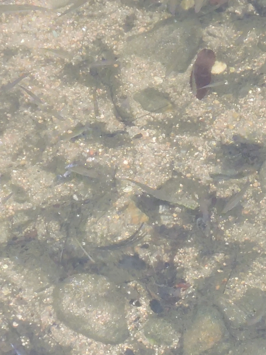 900%EF%BC%BF20250613%EF%BC%BF100213.jpg?type=w966