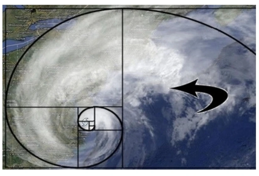 SE-b7056e10-dbf5-4575-8167-0a86ebd80928.jpg?type=w966