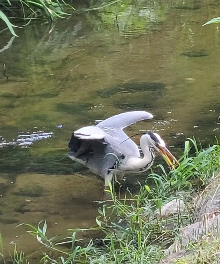 900%EF%BC%BF1753310694425.jpg?type=w966