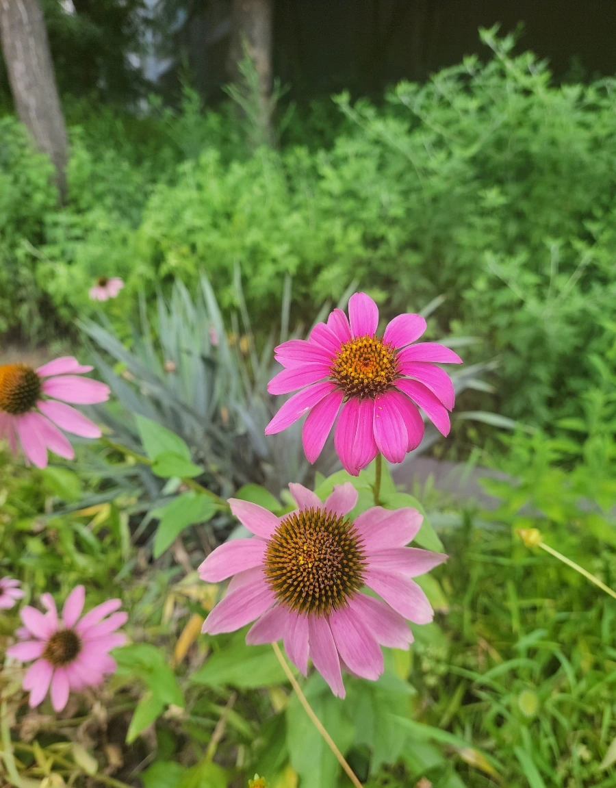 900%EF%BC%BF1752456936140.jpg?type=w966