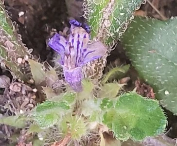 1752456242679.jpg?type=w966