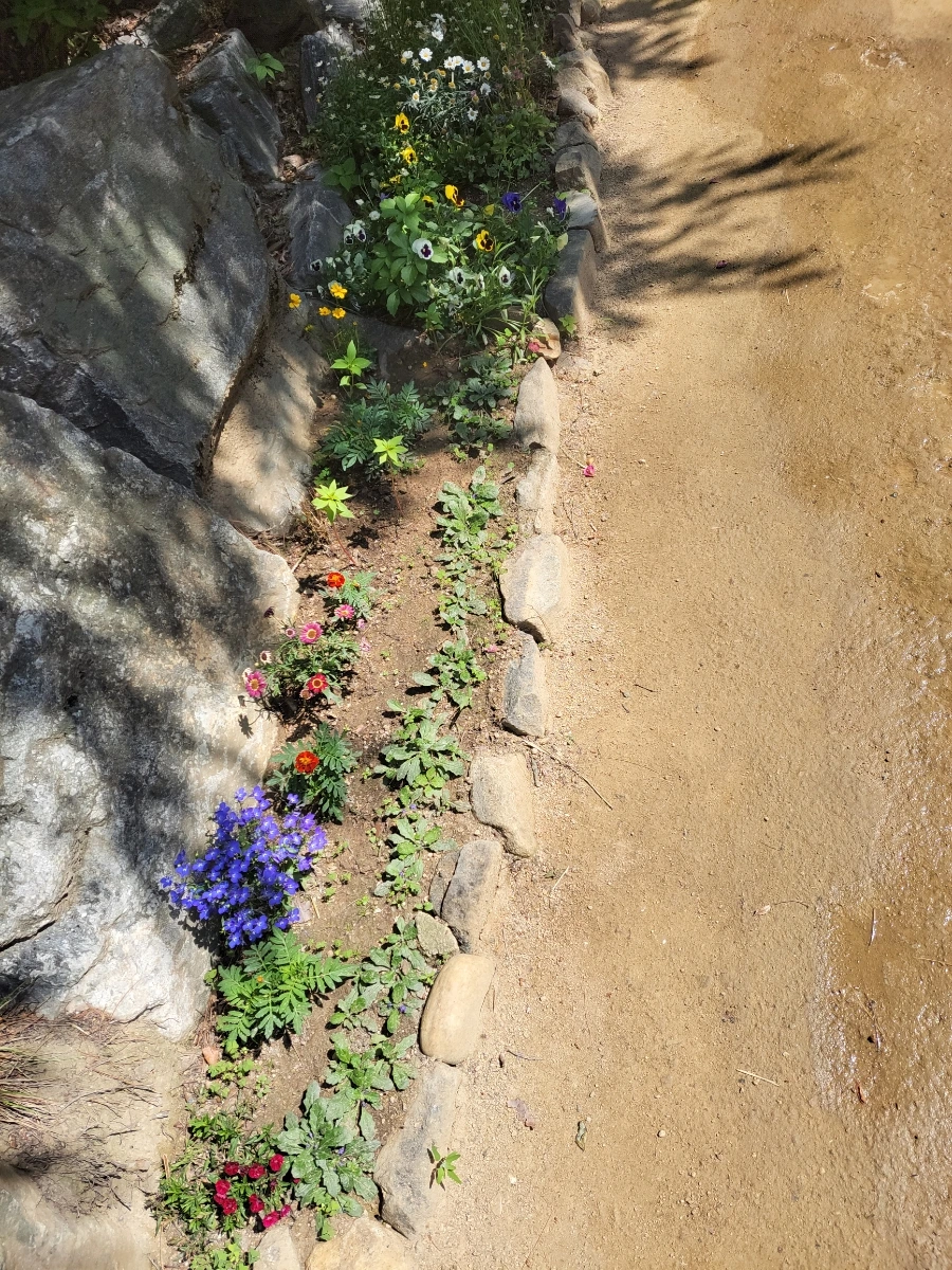 900%EF%BC%BF20250615%EF%BC%BF094759.jpg?type=w966