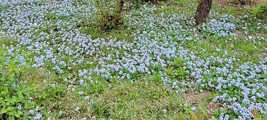 900%EF%BC%BF20250411%EF%BC%BF100038.jpg?type=w966