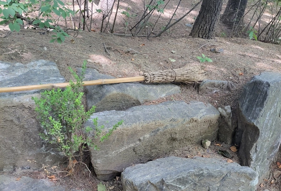 900%EF%BC%BF1750369012160.jpg?type=w966