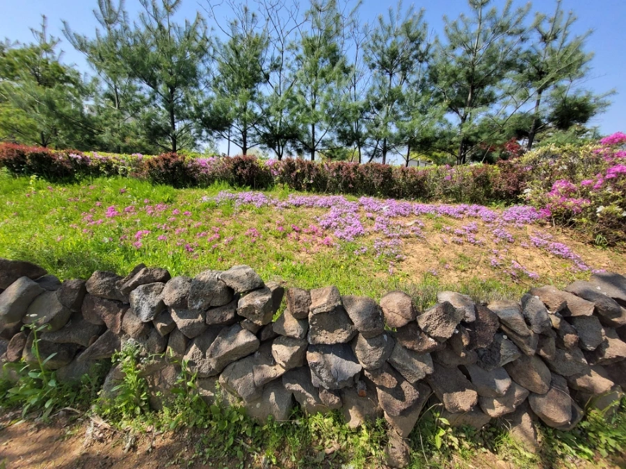 900%EF%BC%BF20250426%EF%BC%BF143158.jpg?type=w966