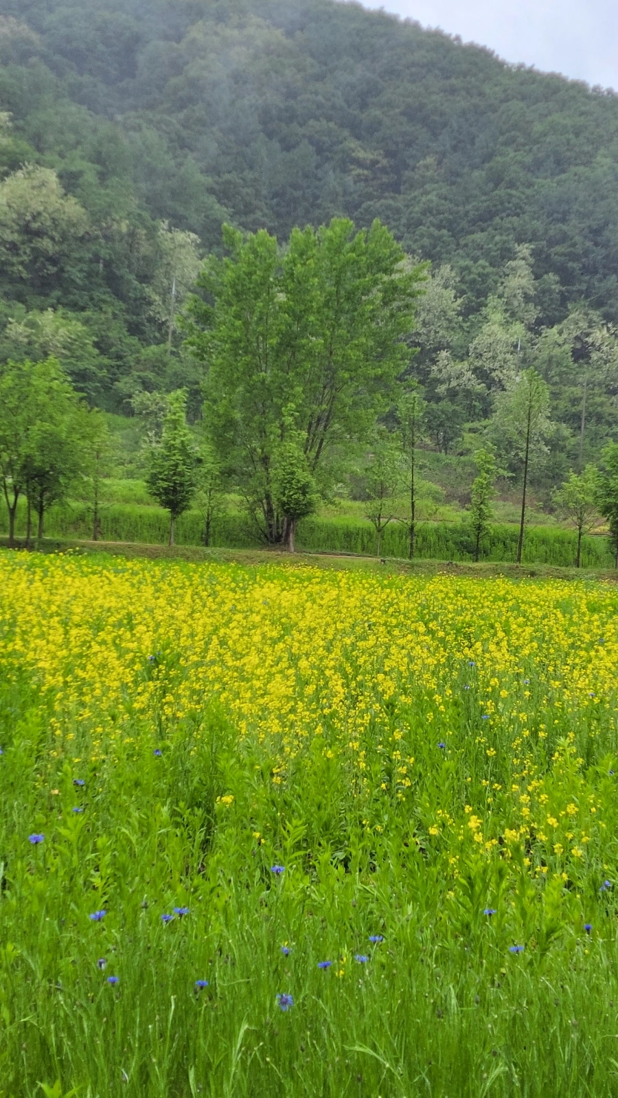 900%EF%BC%BF20240515%EF%BC%BF142137.jpg?type=w966