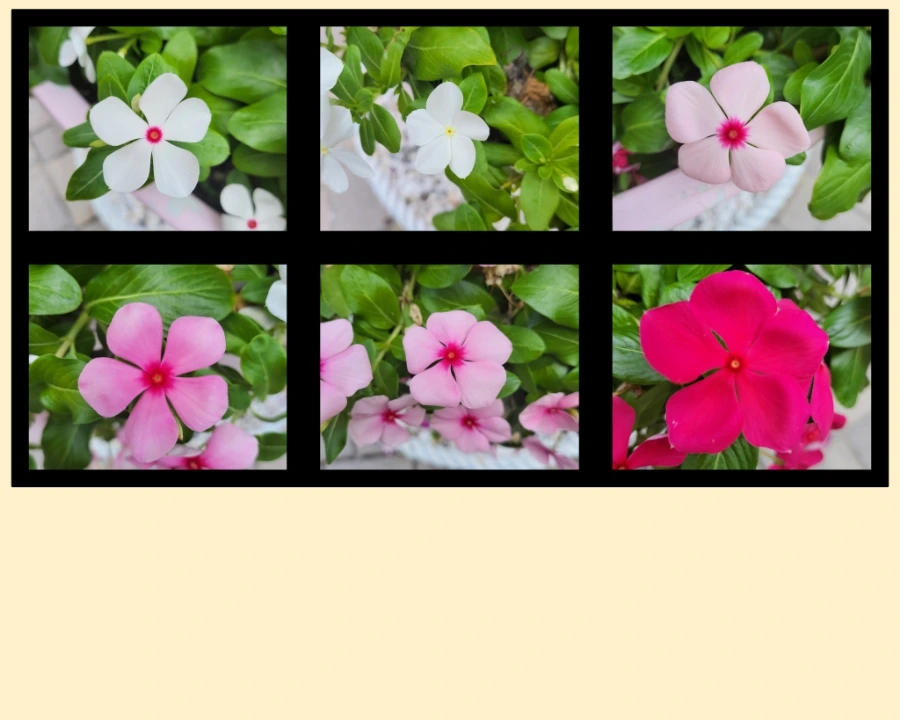 900%EF%BC%BFGridArt%EF%BC%BF20250802%EF%BC%BF222029070.jpg?type=w966