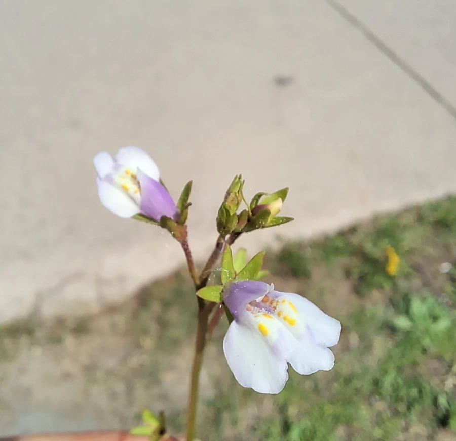 900%EF%BC%BF20250426%EF%BC%BF144012.jpg?type=w966