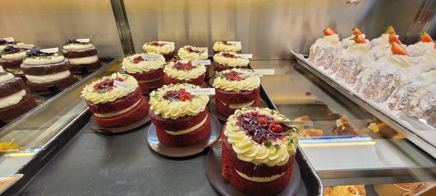 900%EF%BC%BF20250214%EF%BC%BF112612.jpg?type=w966