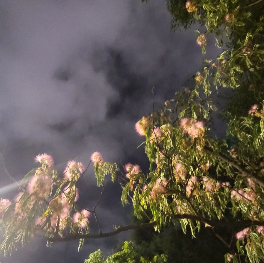 900%EF%BC%BF20250701%EF%BC%BF213343.jpg?type=w966