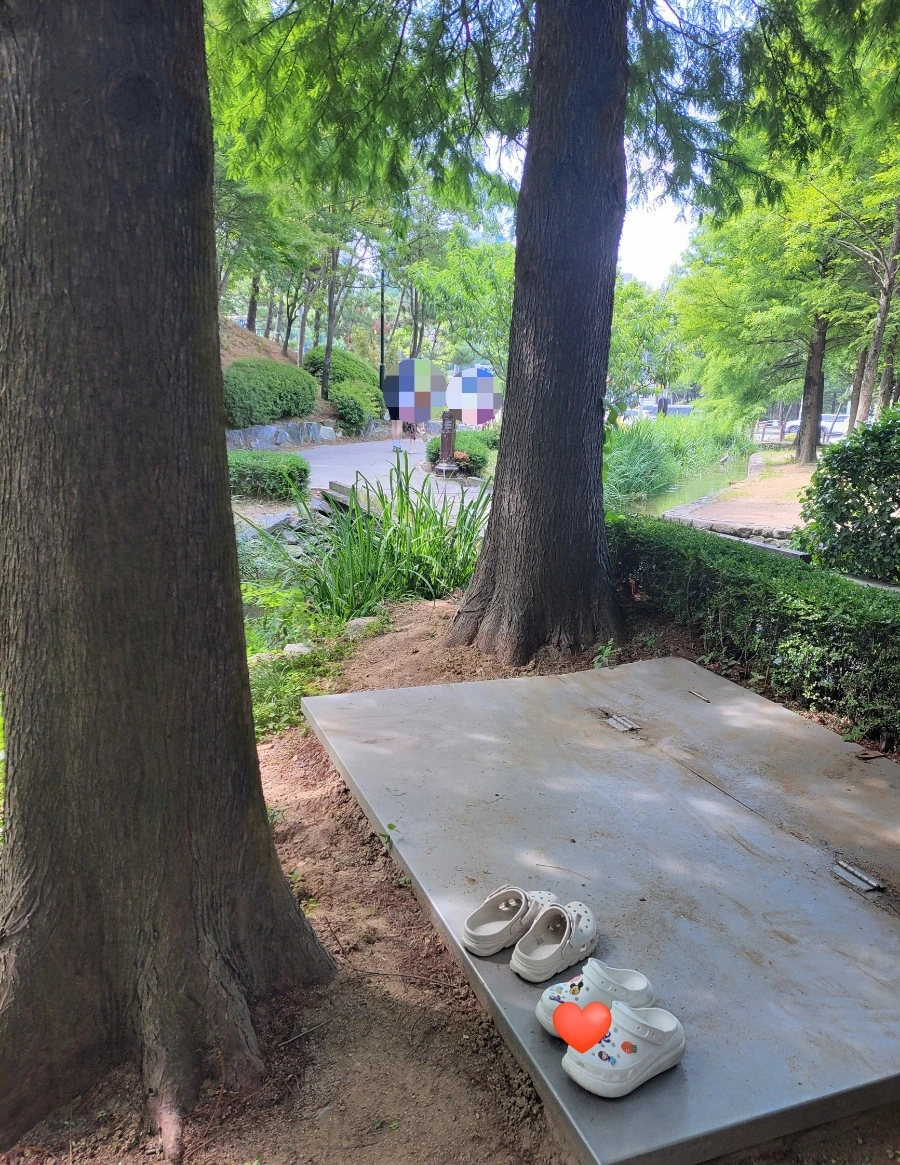 900%EF%BC%BF1750368857672.jpg?type=w966