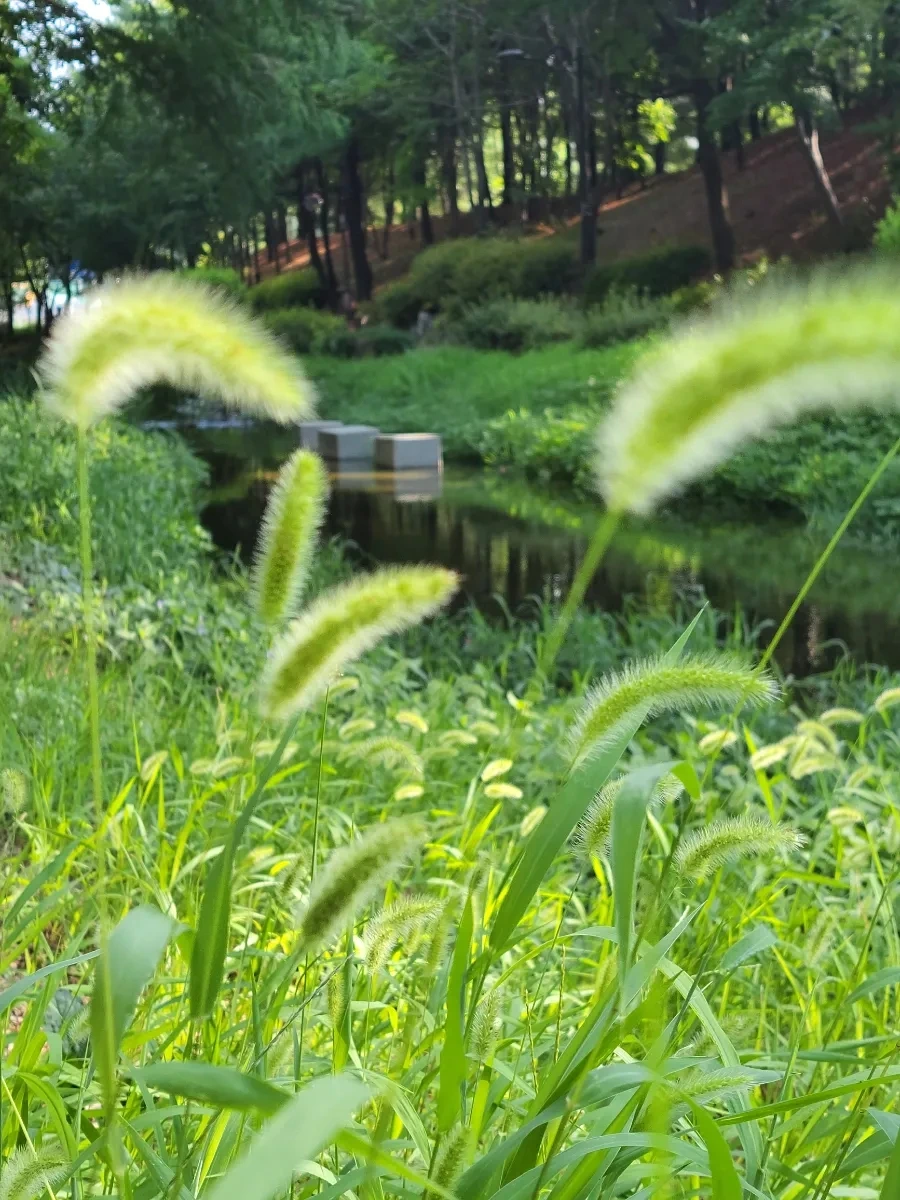 900%EF%BC%BF20250805%EF%BC%BF083439.jpg?type=w966