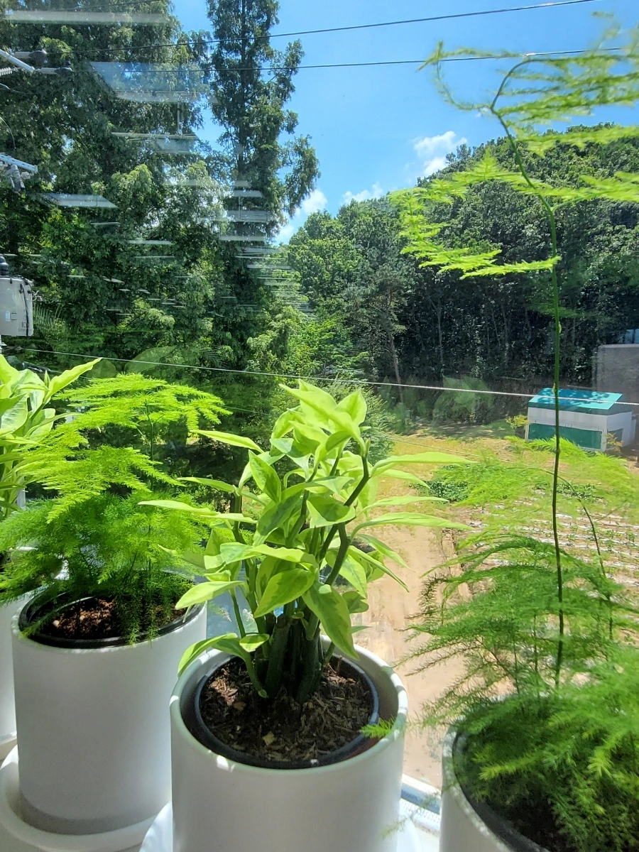 900%EF%BC%BF20250727%EF%BC%BF132708.jpg?type=w966