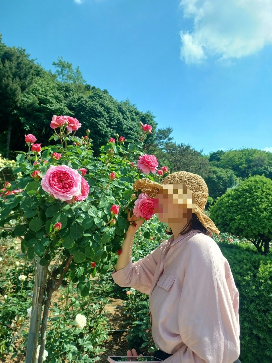 900%EF%BC%BF1751582203494.jpg?type=w966