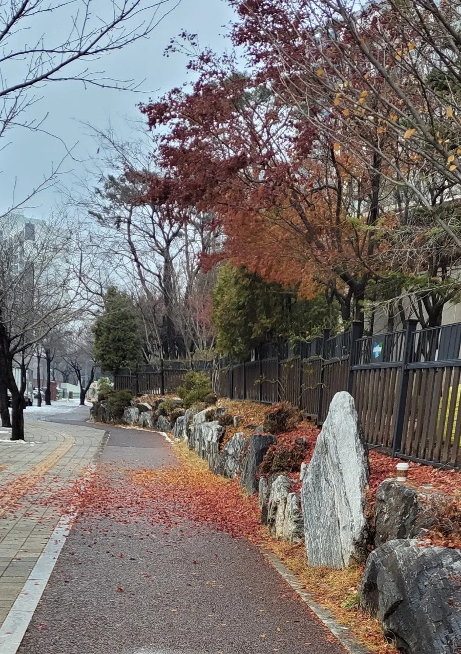 900%EF%BC%BF20250105%EF%BC%BF160752.jpg?type=w966